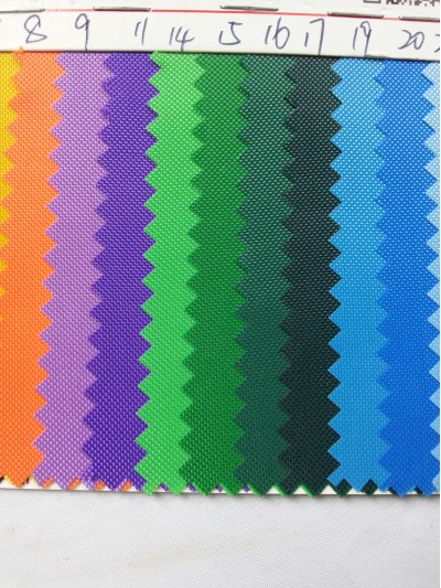 DG-BICG BC-4201 PL  背囊面料 後面照